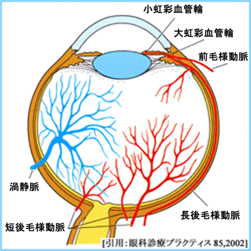 図 14