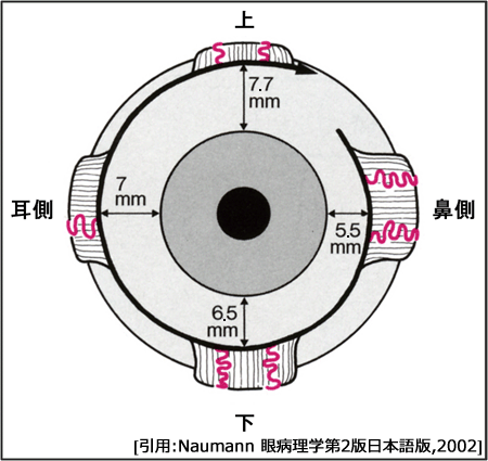 図 15