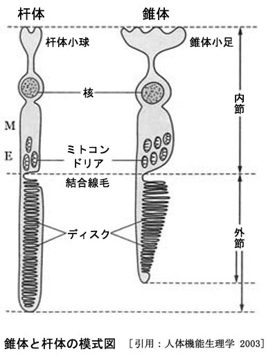 図 11