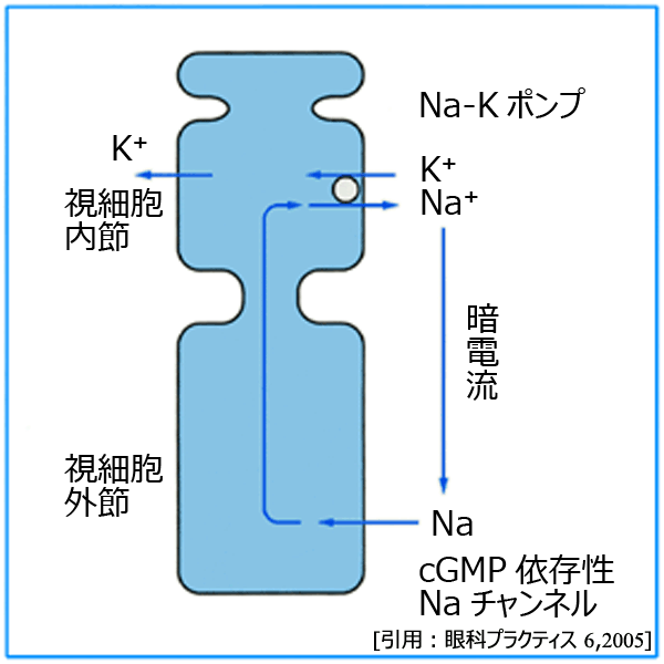 図 27