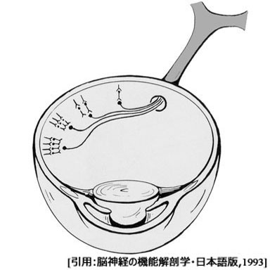 図 30