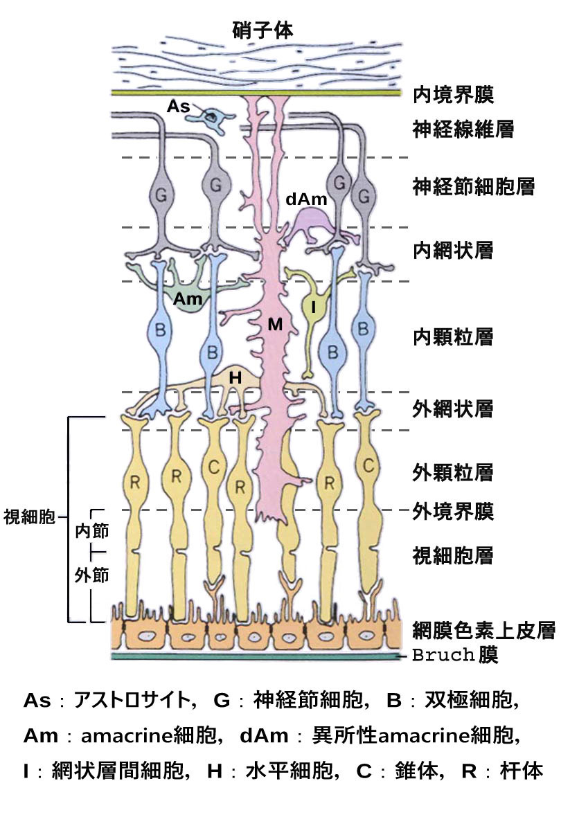 図 10