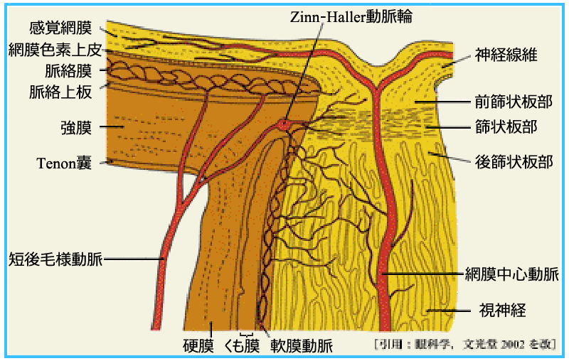 図 08