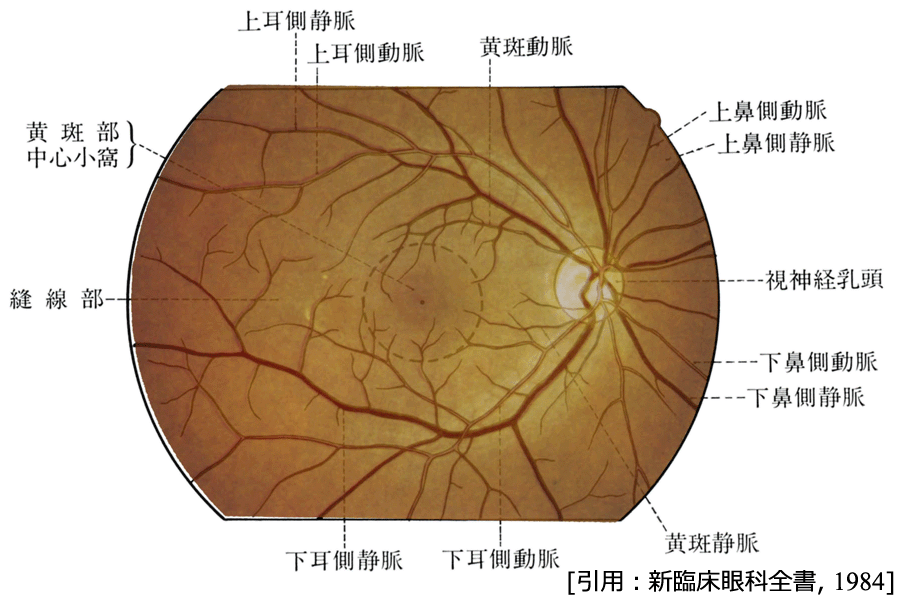 図 11