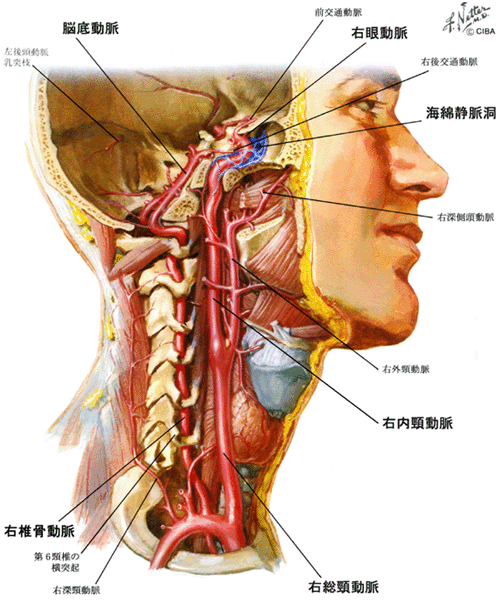 図 02