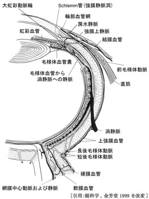 図 06