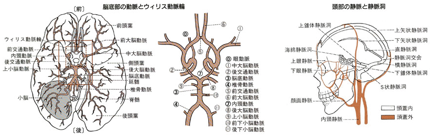 図 09