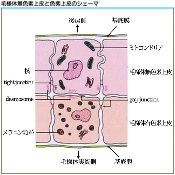 図 16