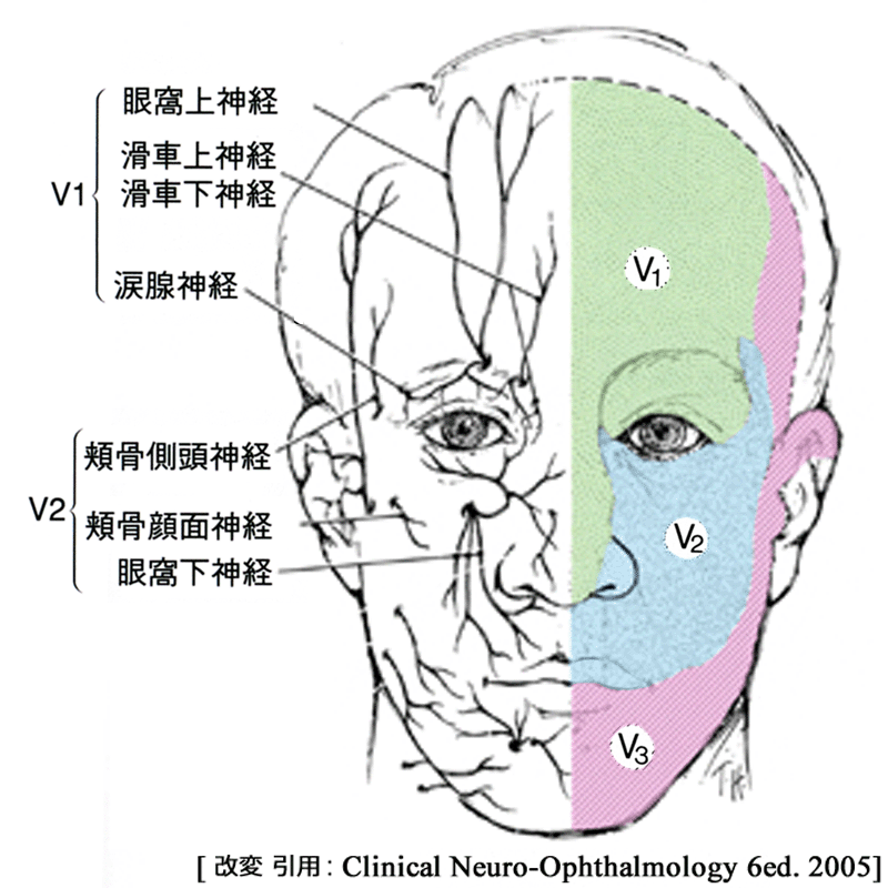 図 25