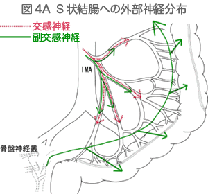 図4A