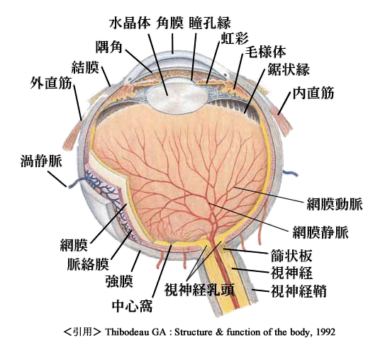 図 03