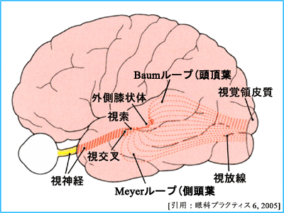 図 08