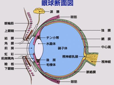 図 09