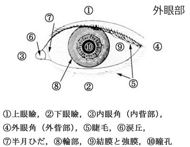 図 01