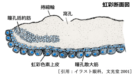 図 03