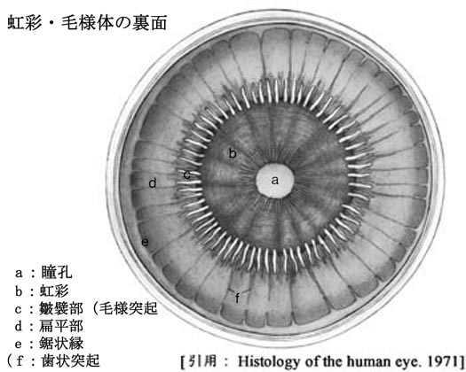 図 07