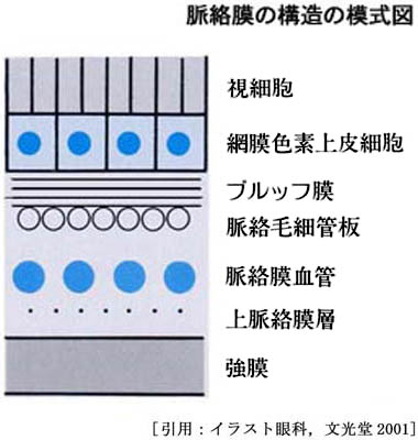 図 10