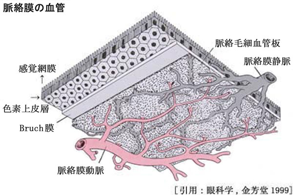 図 11