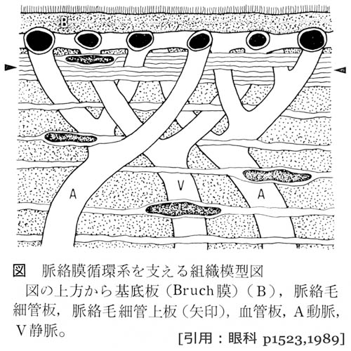 図 30