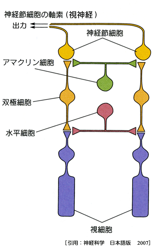 図 21