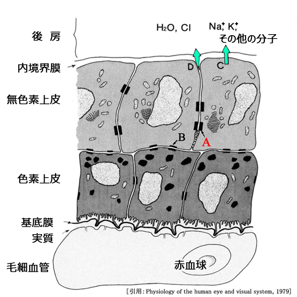 図 01