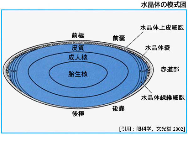 図 07