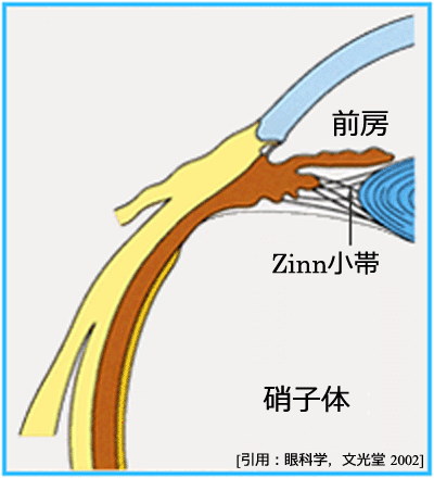 図 10