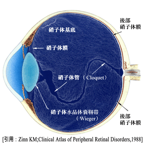 図 01