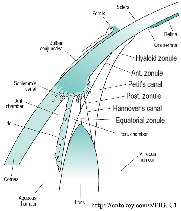 図 21