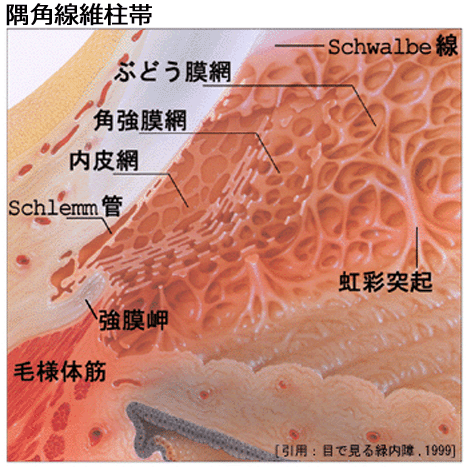 図 25