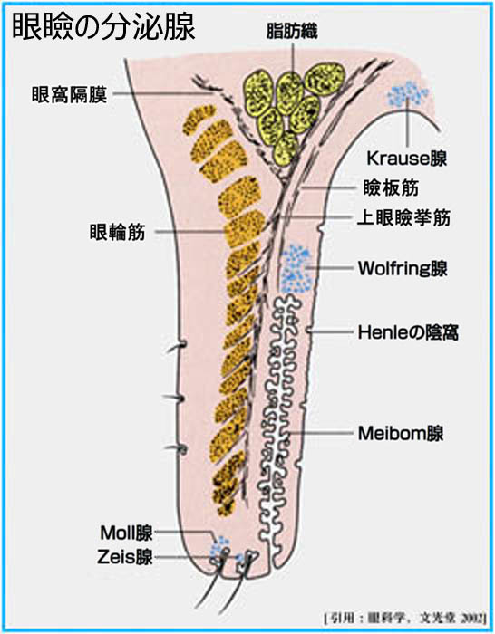 図 07