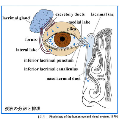 図 13