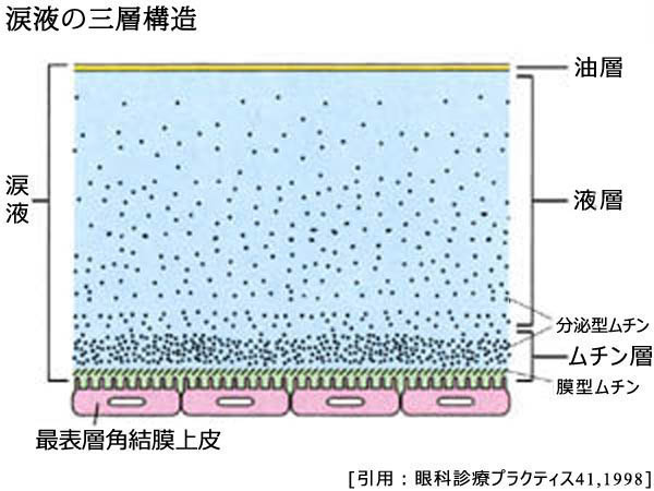 図 15