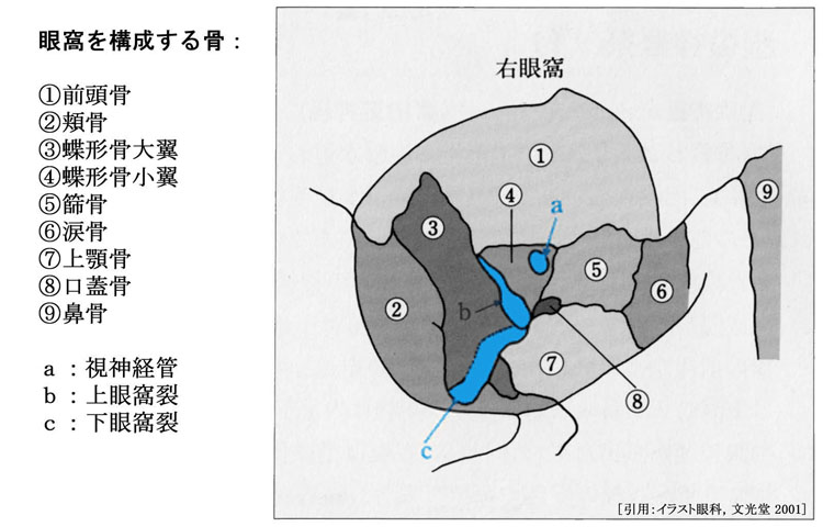 図 11