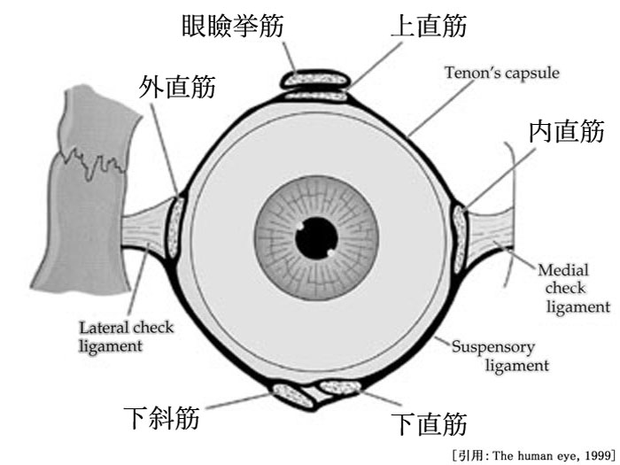 図 16