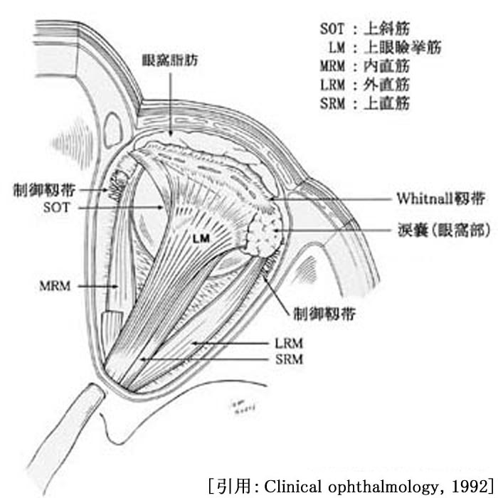 図 18