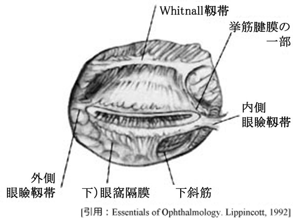 図 20