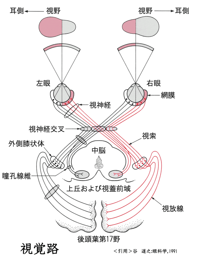 図 01