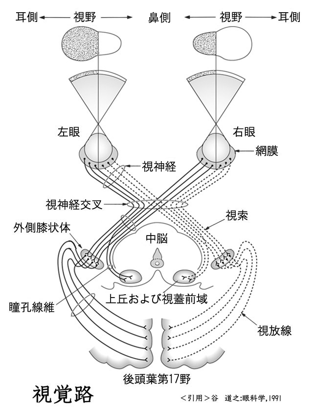 図 01