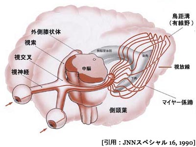 図 09