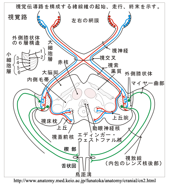 図 12