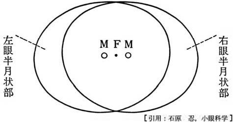 図01 両眼視野