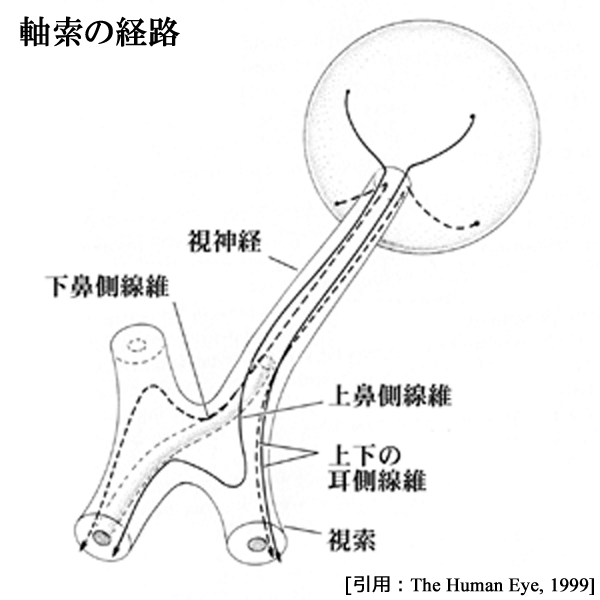 図 19