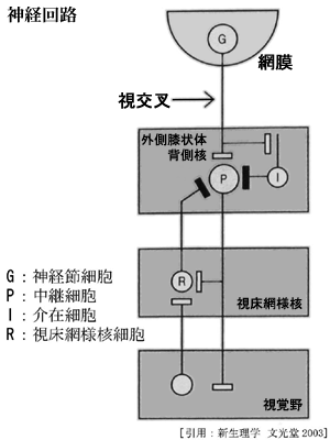 図 20