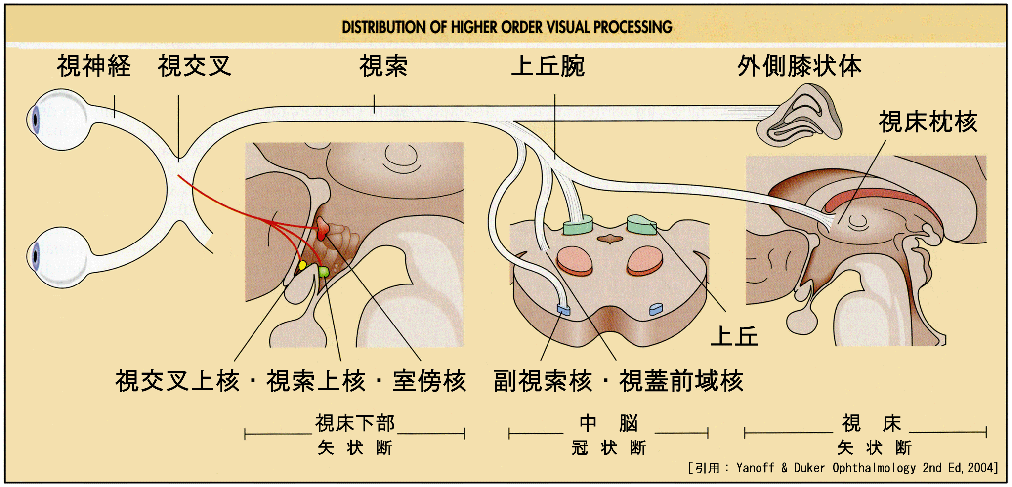 図 21