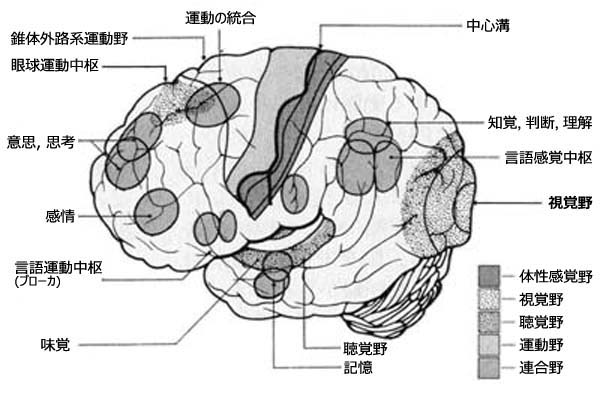 図 02