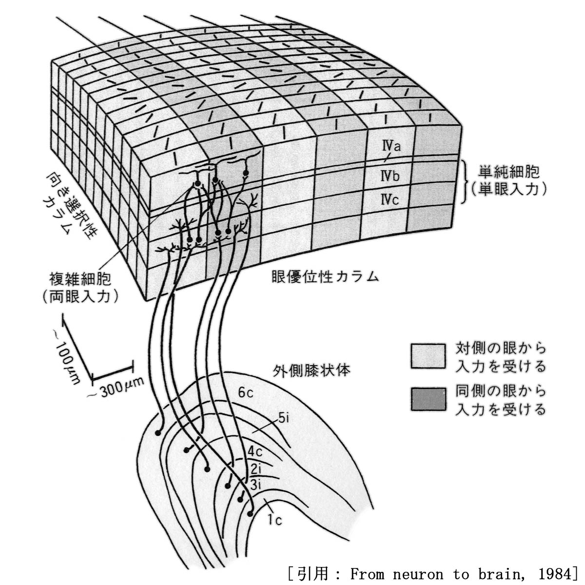 図 04