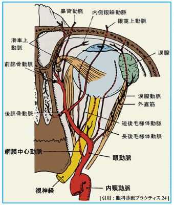 図 07