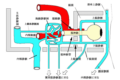 図 13