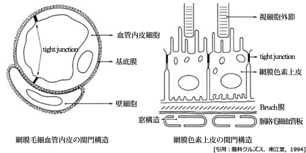 図 17